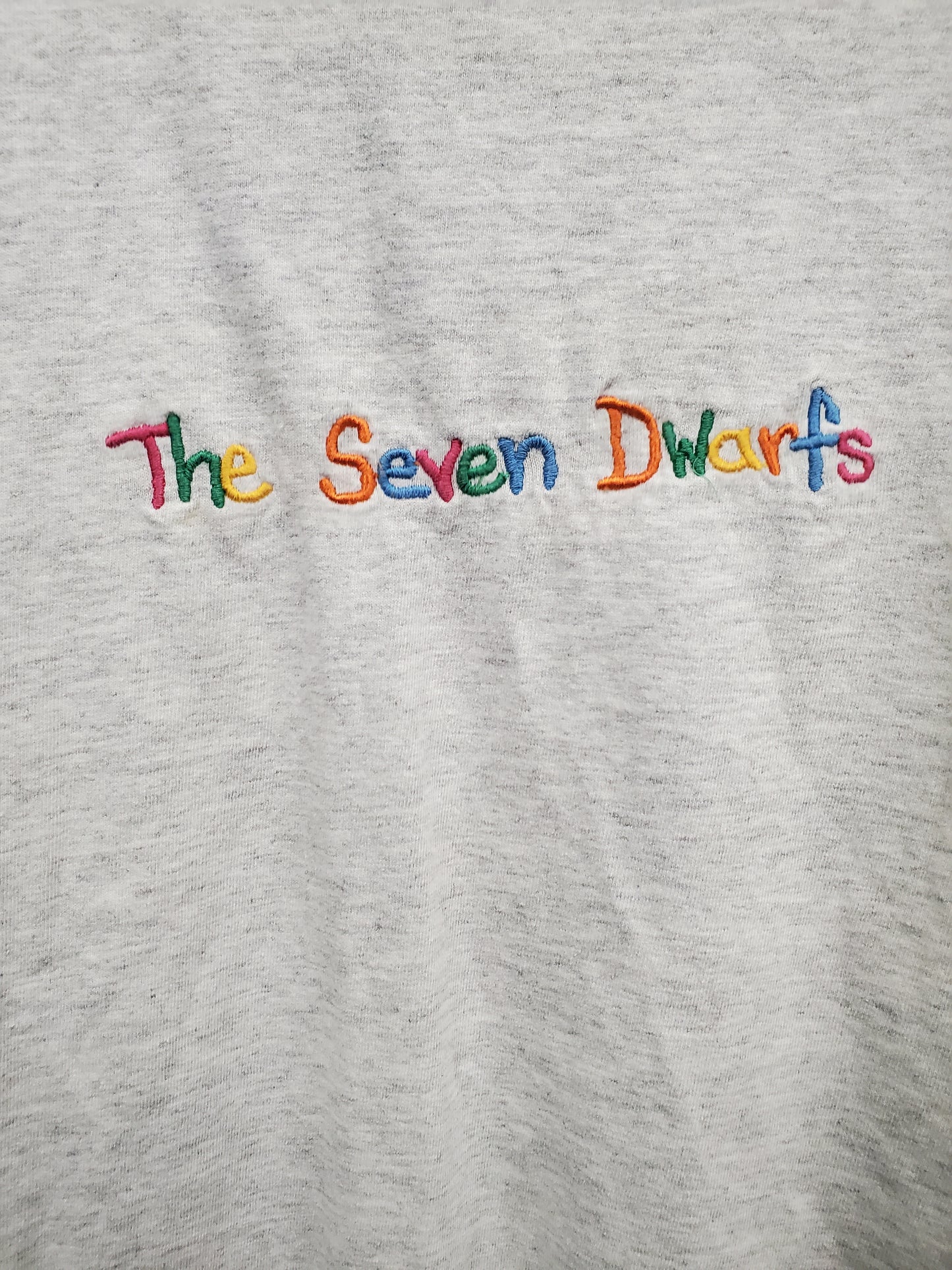 Mens The Seven Dwarfs T-Shirt Size XL