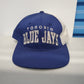 Vintage 90s Toronto Blue Jays Starter Arch Snapback