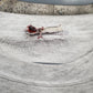 Mens San Francisco Nutmeg Crewneck Sweater Fits XL